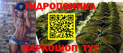 ешки Партизанск