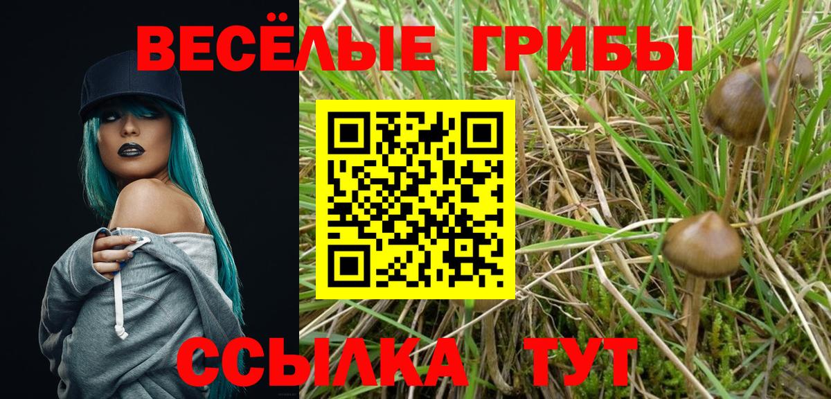Азнакаево  Псилоцибиновые грибы мицелий  что такое   Вход с VPN  Галлюциногенные грибы мухоморы 